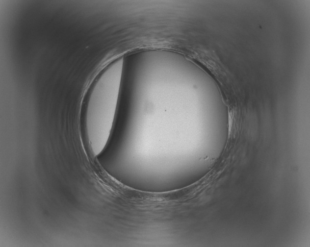 X0000072530195200607141019
