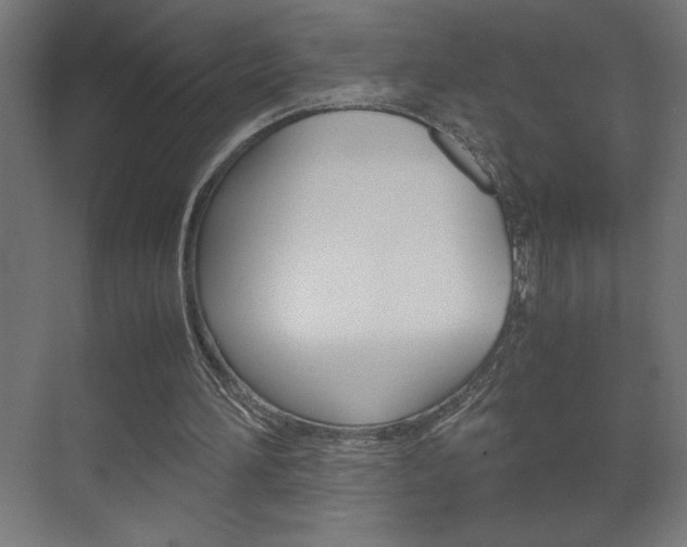 X0000072530196200607141019