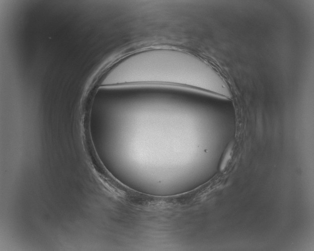 X0000072530197200607141019