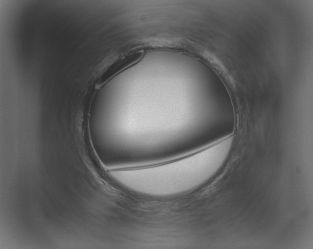 X0000072530201200607141019