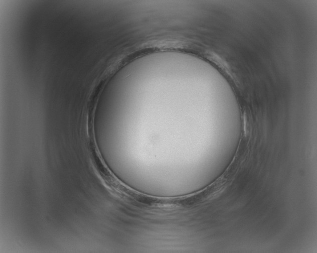 X0000072530205200607141019