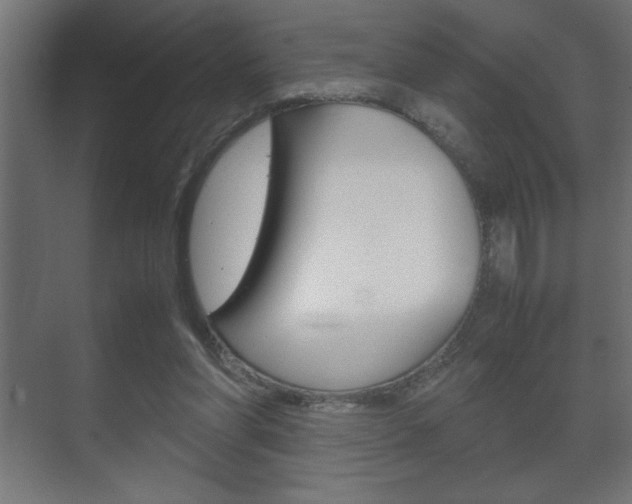 X0000072530206200607141019