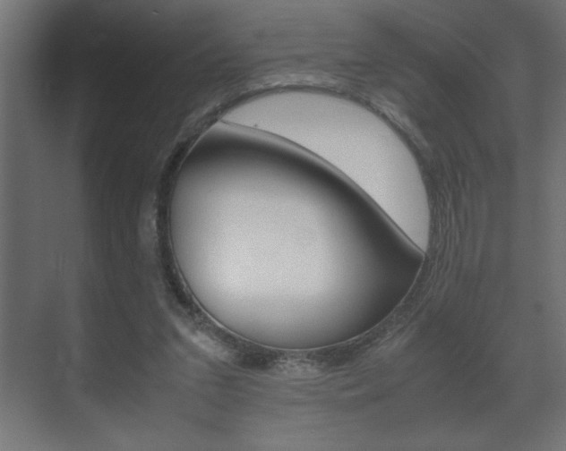 X0000072530207200607141019