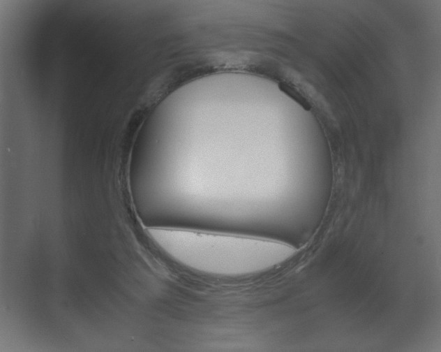 X0000072530209200607141019