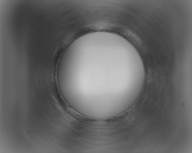 X0000072530210200607141019