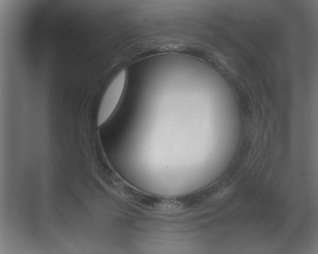 X0000072530215200607141019