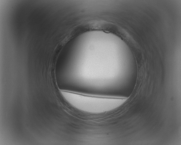 X0000072530217200607141019