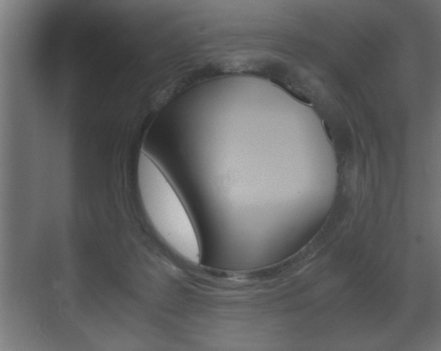 X0000072530219200607141019