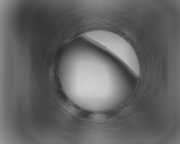 X0000072530221200607141019