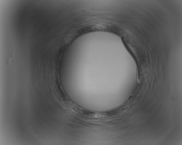 X0000072530223200607141018