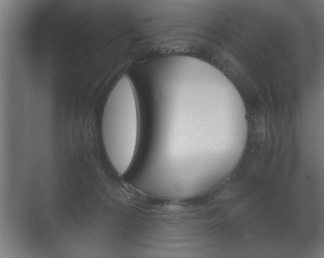 X0000072530224200607141018