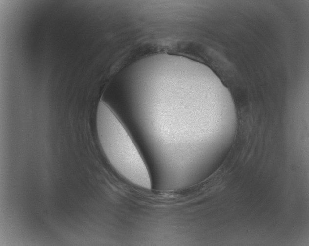 X0000072530225200607141018