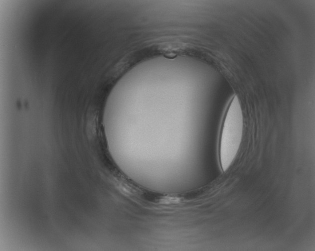 X0000072530227200607141018