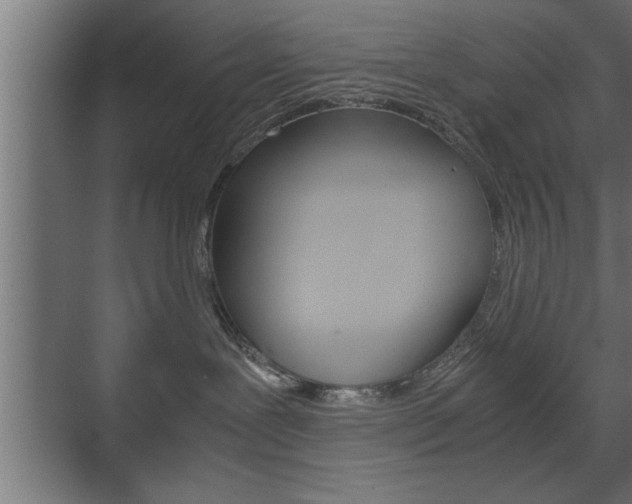 X0000072530239200607141018