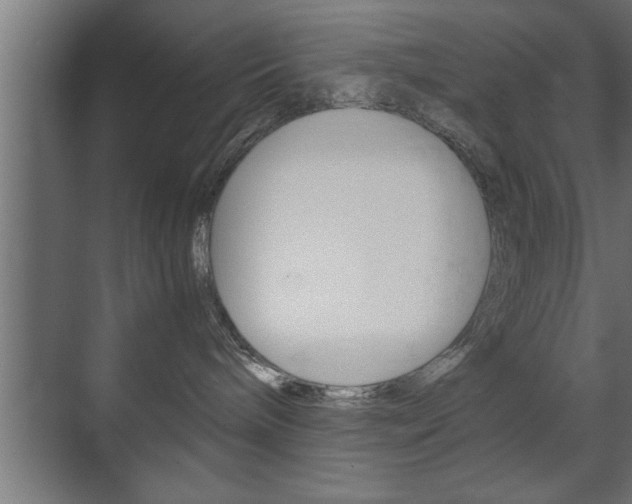 X0000072530240200607141018