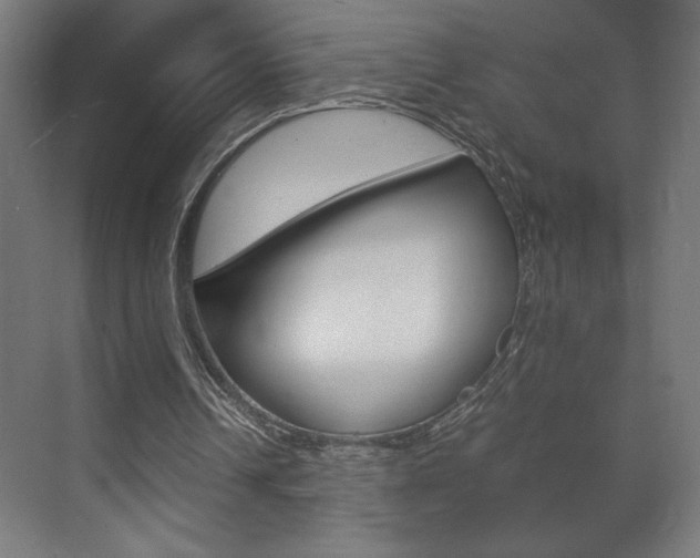 X0000072530242200607141017