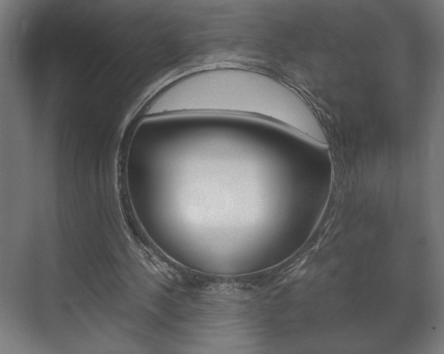 X0000072530244200607141017