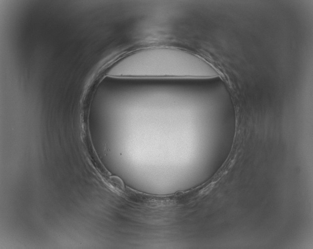 X0000072530245200607141017