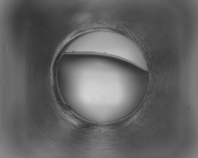 X0000072530246200607141017