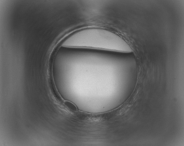 X0000072530247200607141018