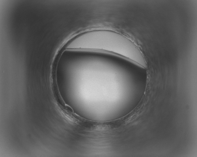 X0000072530248200607141018