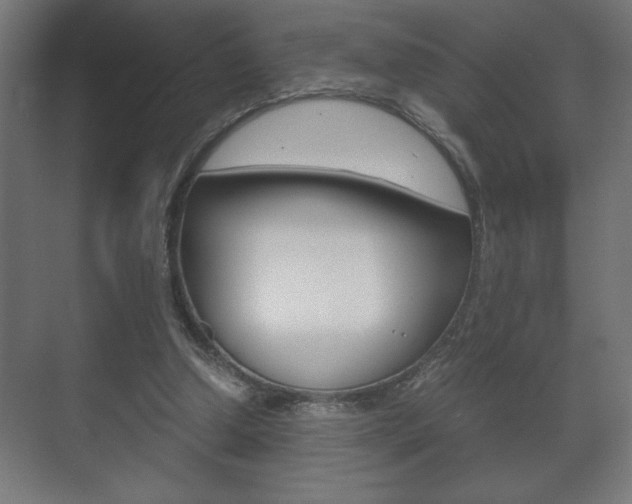 X0000072530250200607141018