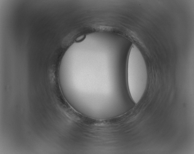 X0000072530259200607141018