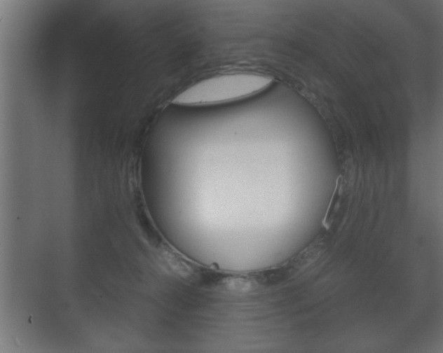 X0000072530272200607141018