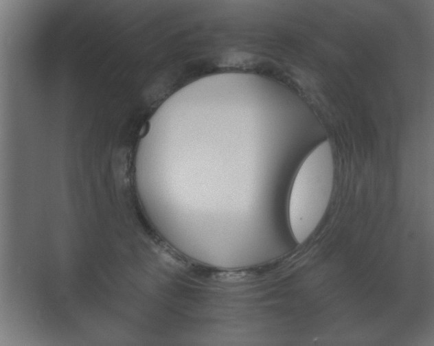 X0000072530273200607141018