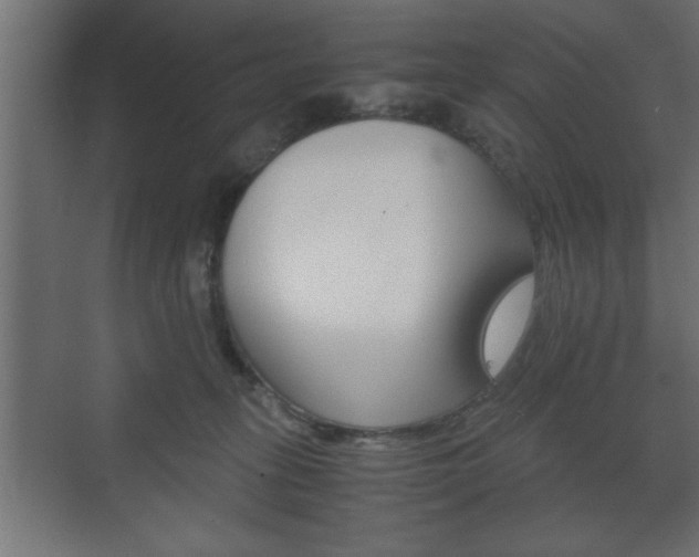X0000072530275200607141018