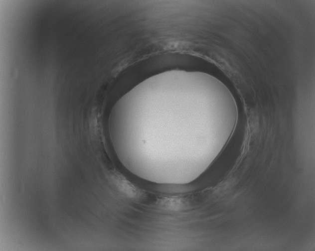 X0000072530276200607141018