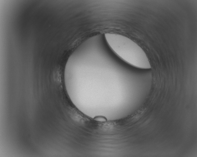 X0000072530282200607141018