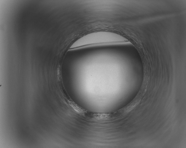 X0000072530288200607141018