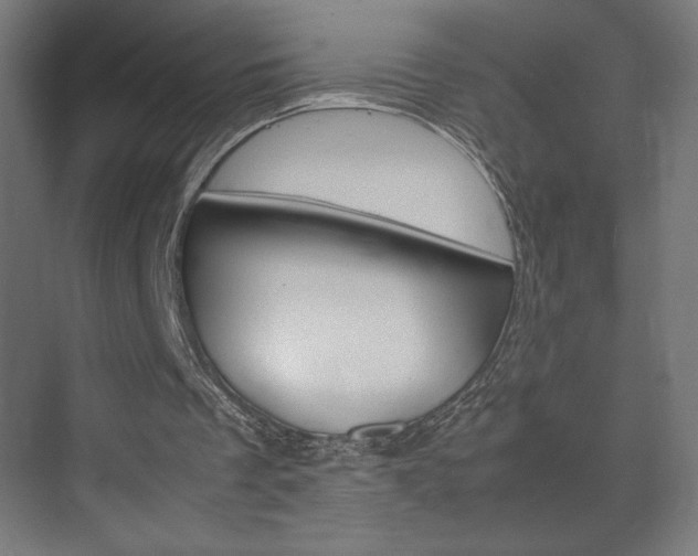 X0000072530289200607141017