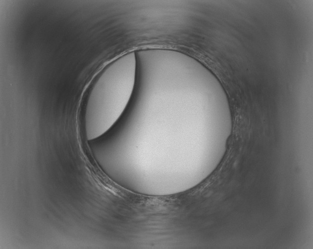 X0000072530290200607141017