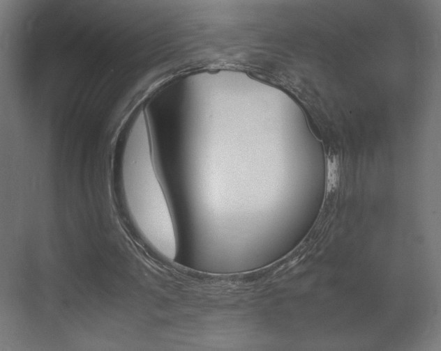 X0000072530291200607141017