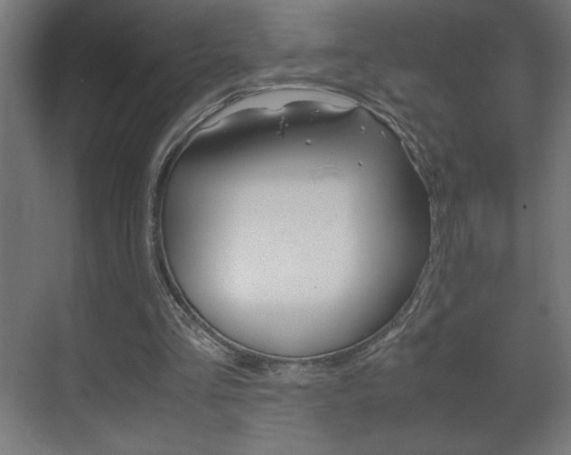 X0000072530293200607141017