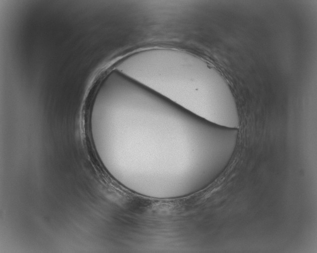 X0000072530294200607141017
