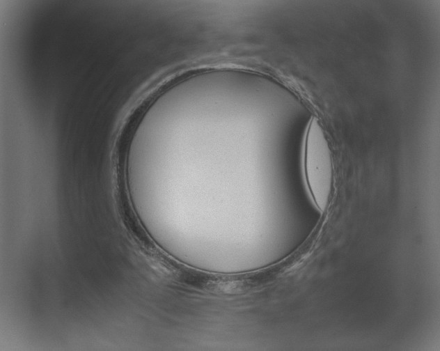 X0000072530295200607141017