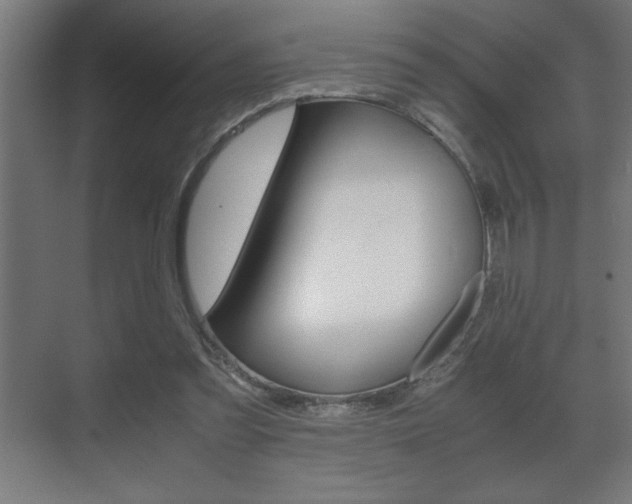 X0000072530301200607141017