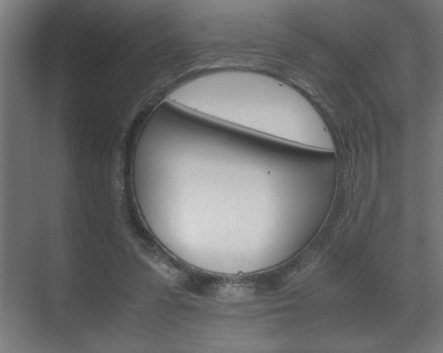 X0000072530303200607141017