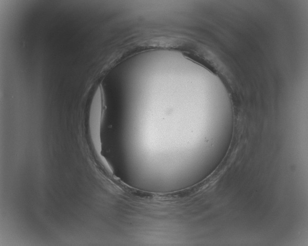 X0000072530305200607141017