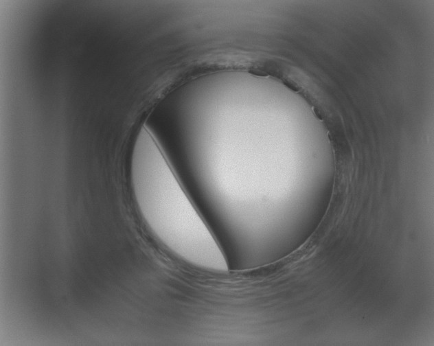 X0000072530309200607141017