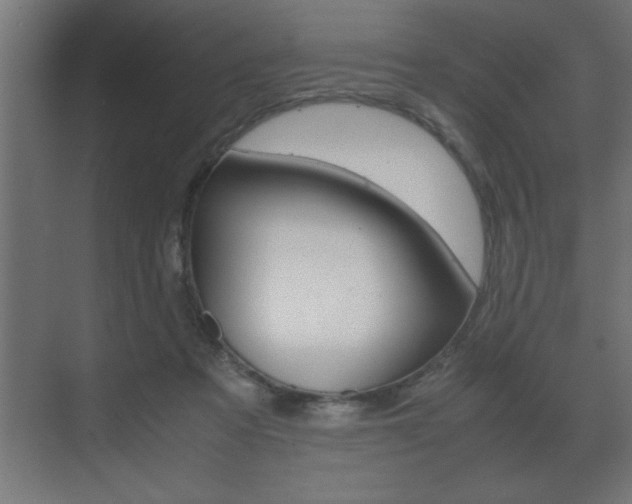 X0000072530313200607141017