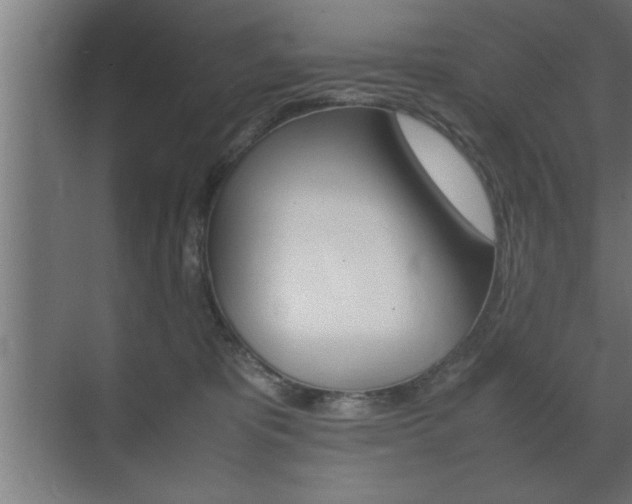 X0000072530325200607141017