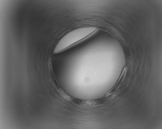 X0000072530329200607141017