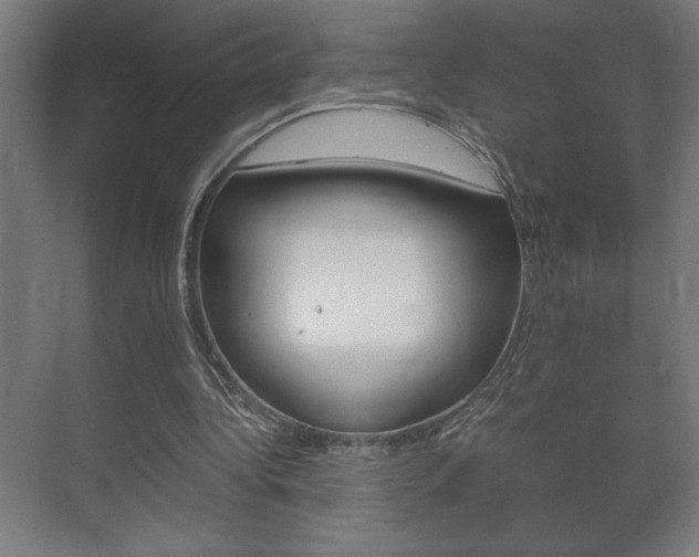 X0000072530340200607141016