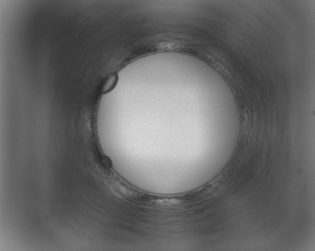X0000072530363200607141016