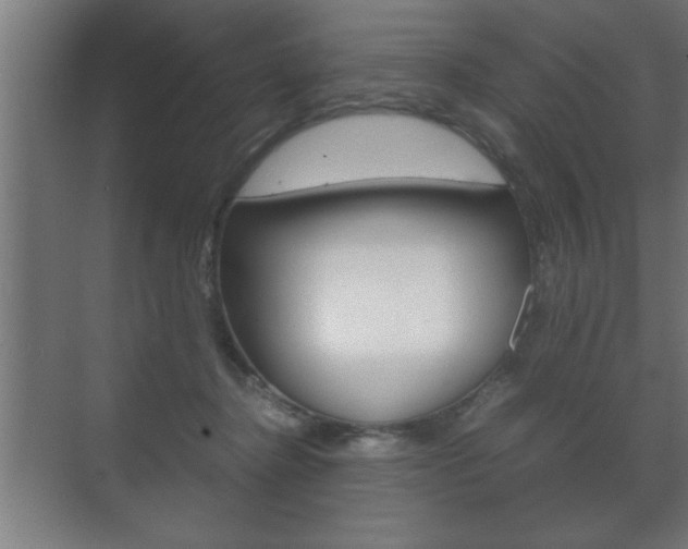 X0000072530364200607141016