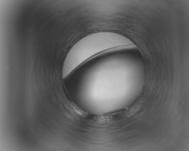 X0000072530384200607141017